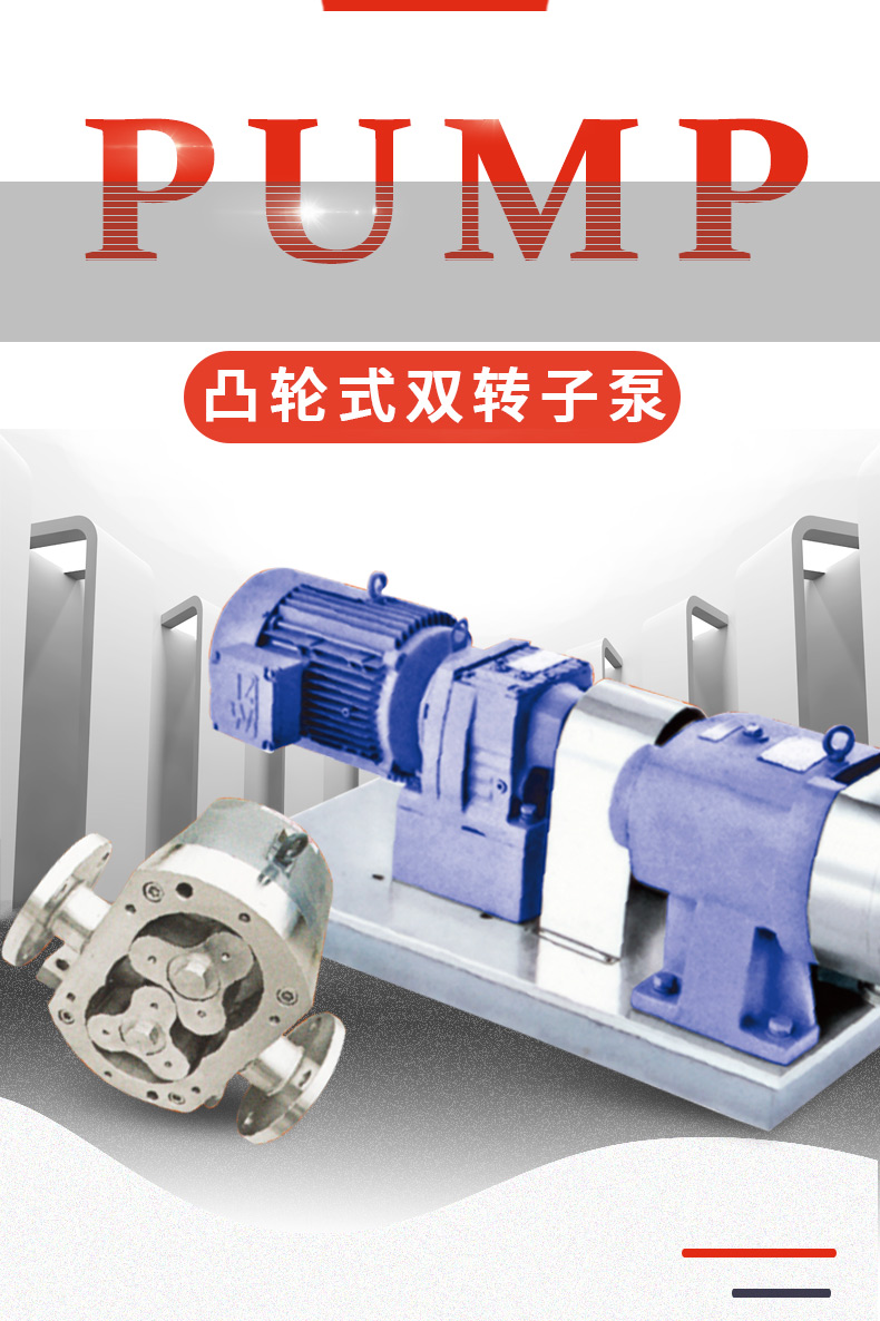凸輪式雙轉子泵_01