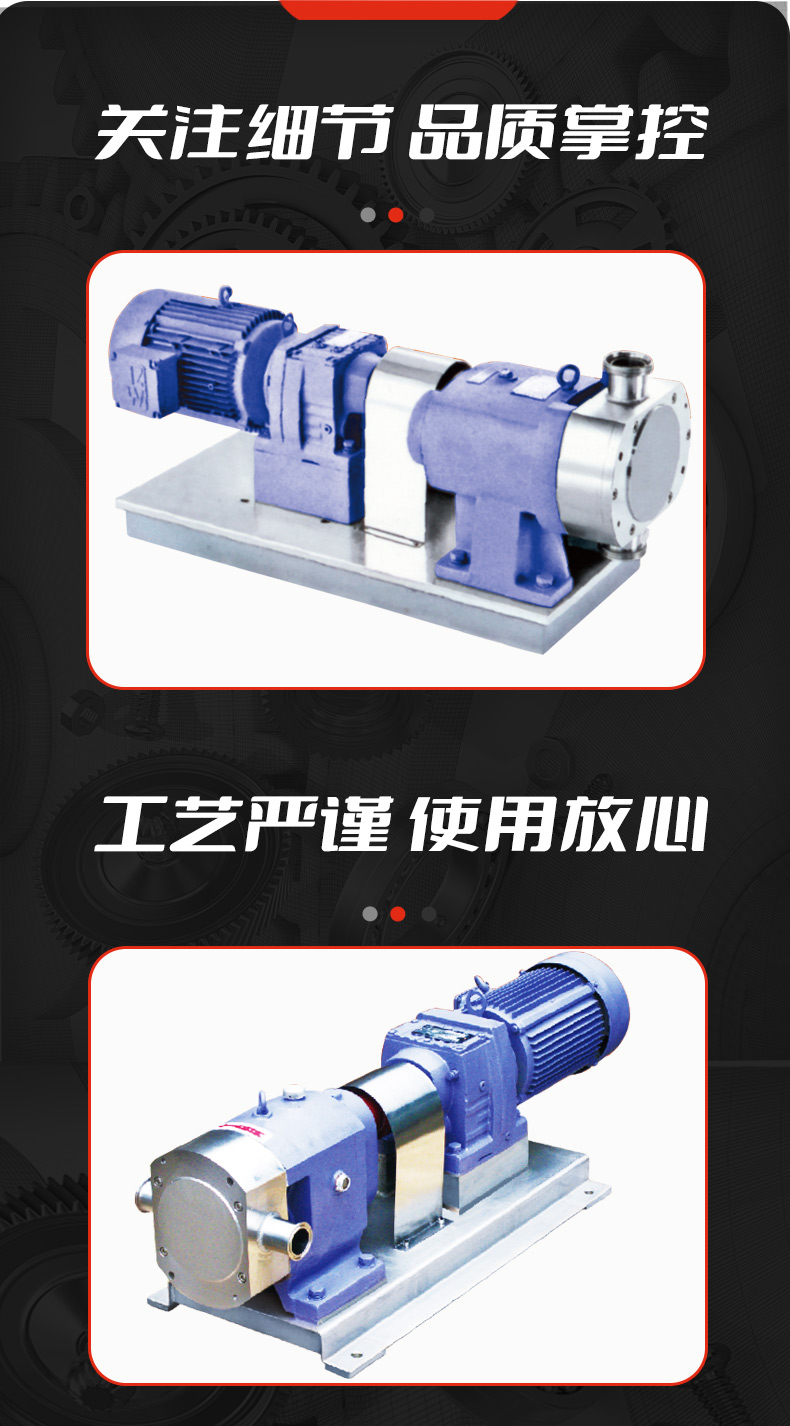 凸輪式雙轉子泵_04