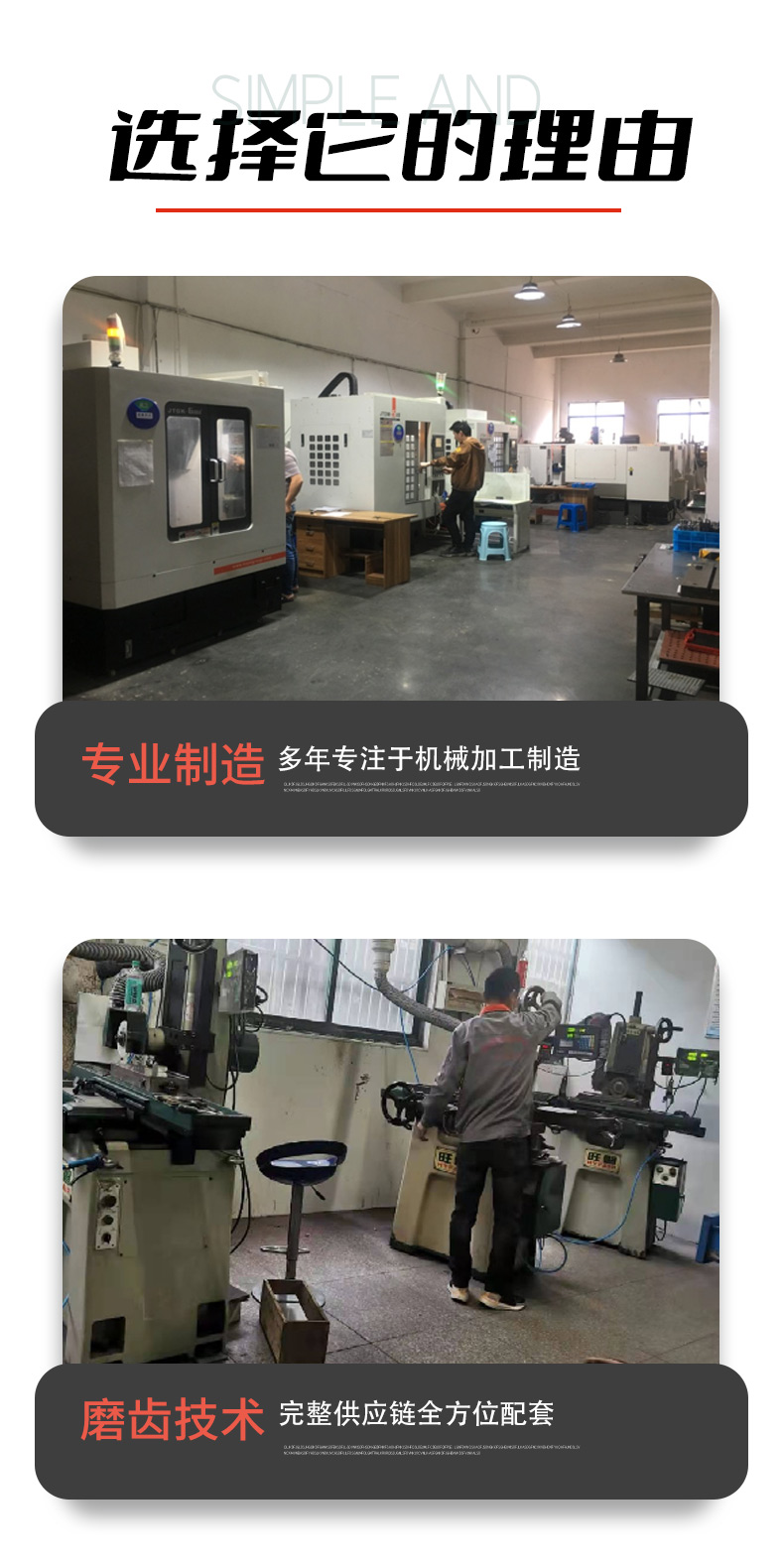 凸輪式雙轉子泵_11